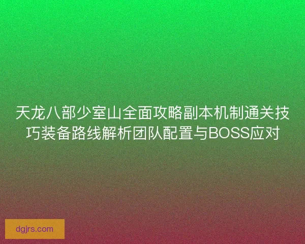 天龙八部少室山全面攻略副本机制通关技巧装备路线解析团队配置与BOSS应对